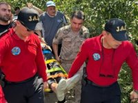 Ordu'da kaybolan Alzheimer hastası sağ bulundu