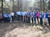 Vezirköprü'de ormanlık alanlarda yangın riskine karşı doğa temizliği yapıldı