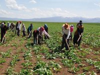 DMM'den mevsimlik tarım işçilerine sağlanan desteklere ilişkin açıklama: