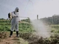 Fransa'da Anayasa Konseyi, çevrecilerin tepki gösterdiği "Duplomb" yasasının bir maddesini iptal etti