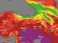 Türkiye'de ilk kez tasarlanan ısı stresi rehberi ve haritası erişime açıldı