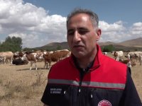 Kars Tarım ve Orman Müdürü Aydın, şap hastalığına ilişkin konuştu: