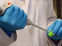 ABD'de ilk kez bir insanda "Yeni Dünya vida kurdu sineği" vakası tespit edildi