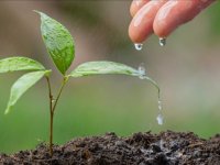 Çevreye duyarlı yeşil yapay zekayla her alanda verimlilik artacak