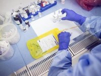 Sulusaray beldesinde kanser tarama uygulaması yapıldı