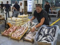 Babasının mesleğini devraldı su ürünleri halinin kadın tüccarı oldu