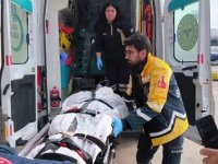 Sivas'ta ayının saldırdığı kadın tedavi altına alındı