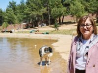 Gaziantep Büyükşehir Belediyesi'nden sokak hayvanlarına ilişkin açıklama: