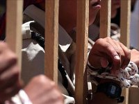 Filistin Esirler Cemiyeti: İsrail hapishanelerinde mahkumlara yönelik baskılar artıyor