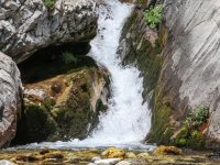 Gezegenin su güvenliği için uluslararası güç birliği yapılacak