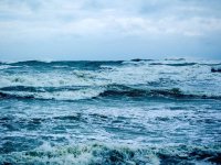 Deniz ekosistemlerindeki insan baskısı canlıları ve gıda zincirini riske atıyor