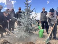 Erzurum'da sağlık çalışanları ve yaşlılar fidan dikti