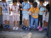 Konyaaltı'nda çocuklar Sokak Hayvanları Sağlık ve Rehabilitasyon Merkezi'ni ziyaret etti