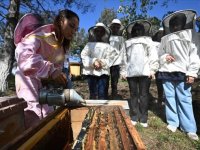 Özel bireyler TÜBİTAK destekli projeyle arıların dünyasını keşfediyor