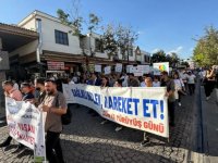 Diyarbakır'da sağlıklı yaşam yürüyüşü düzenlendi