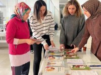 Kırklareli'nden kısa kısa