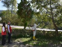 Ordu'da kahverengi kokarcayla mücadelede 20 bin tuzak, 4 bin litre ilaç dağıtıldı