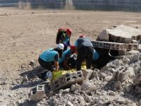 Batman'da 206 personelin katılımıyla "UMKE 30. Bölge Tatbikatı" yapıldı