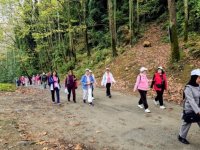 Çınarcık'ta meme kanseri farkındalığı için doğa yürüyüşü düzenlendi