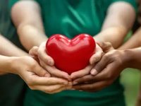 Organ bağışçı sayısının artması toplumun her kesiminin desteğine bağlı