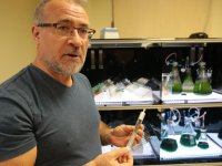 Türk akademisyenler, mürekkep balığından cilt onarıcı ve koruyucu güneş kremi üretti