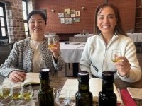 Japon şef Türk zeytinyağlarını harmanlayarak Uzak Doğu'ya tanıtıyor