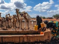 Aşırı hava olayları son 10 yılda 250 milyon kişiyi yerinden etti