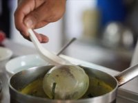 Kontrolsüz toplanan bitkiler ve toplu yemeklerdeki sağlıksız gıdalar zehirlenme riskini artırıyor