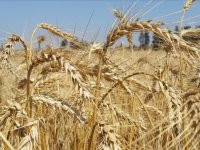 BM yetkililerinden su ve gıda israfıyla mücadelede işbirliği çağrısı