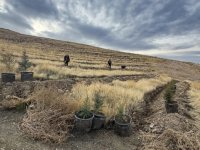 Türkiye'nin en kirli havasına sahip Iğdır'da bol oksijen için ağaçlandırma hamlesi