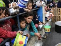 BM, kısıtlamalar nedeniyle hayat kurtarıcı barınma yardımlarının Gazze'ye ulaşamadığını bildirdi