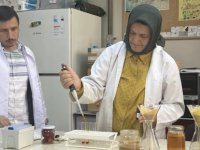 Doku hasarına karşı aronya "doğal kalkan" olabilir