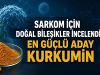 Sarkom Tedavisinde Doğal Bileşiklerin Rolü Araştırıldı: Kurkumin Kanser Hücrelerinde Umut Veriyor!