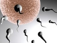 'Açıklanamayan infertilite'de sperm analizinin önemi