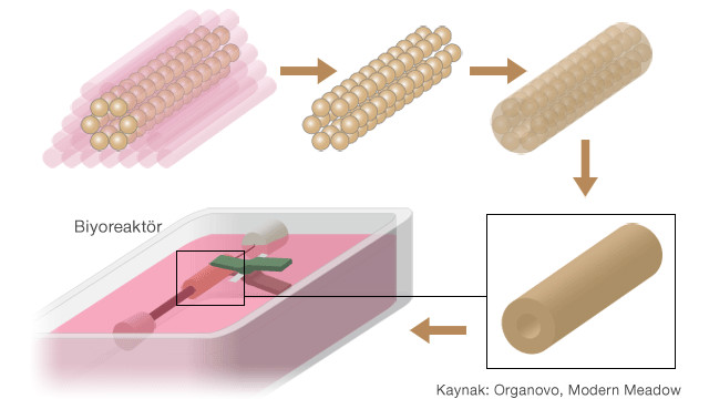 Üç boyutlu yazıcıyla yapay et üretilir mi?