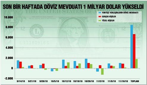 dolar-doviz-2.jpg