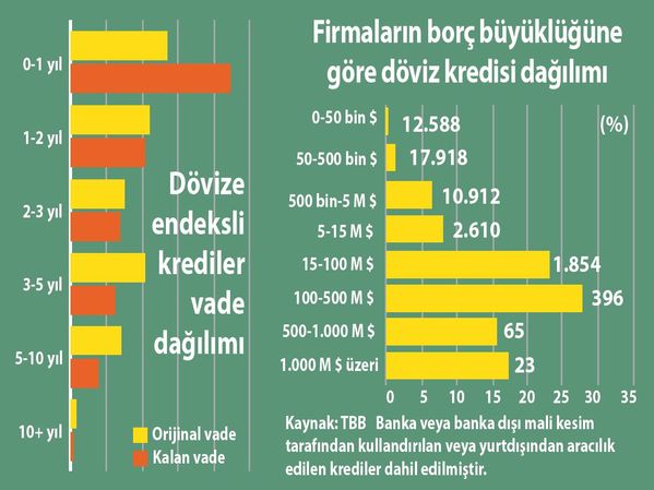 firmalarin-borc-buyuklugune-gore-doviz-kredisi-dagilimi.jpg