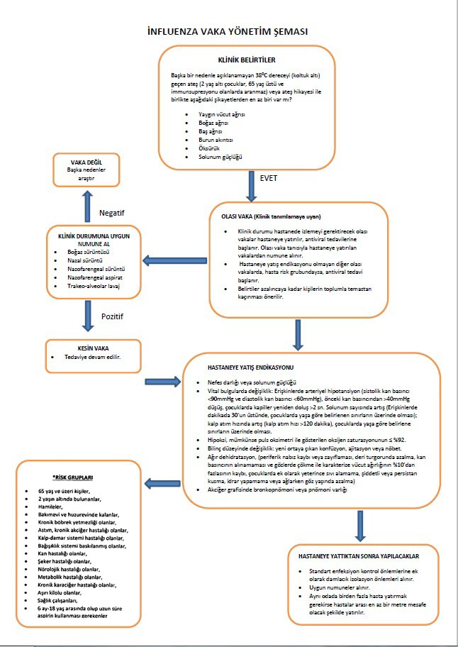 influenza-vaka-yonetim-algoritmasi-001.jpg