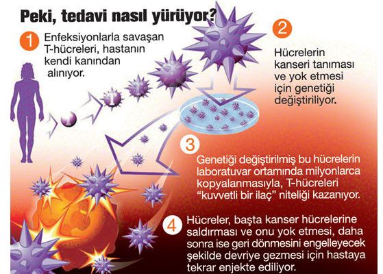 t-hucre-tedavisi.jpg