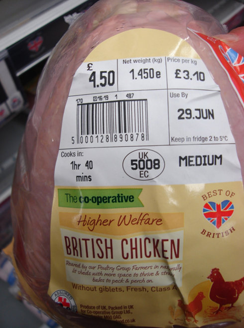 yd_tavuk.jpg yd_tavuk.jpg