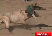 Boğanın intikamı feci oldu