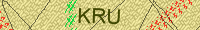 Güvenlik Resmi